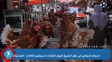 أسعار الدواجن في كفر الشيخ اليوم الثلاثاء 2 سبتمبر 2025 و最新 التحديثات